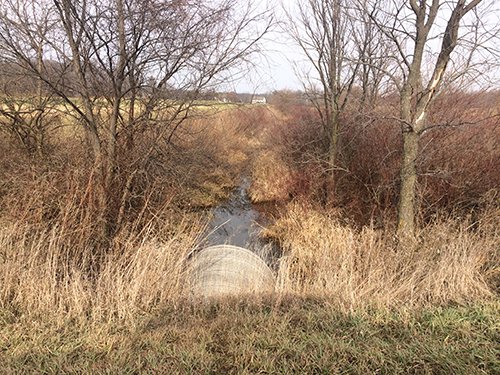Galatia Open Ditch - LAND AUCTION, 83.18+/- Acres offered in 2 Tracts